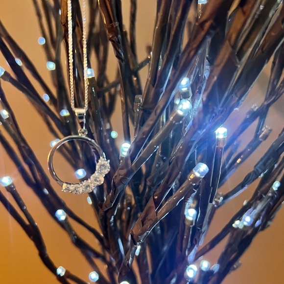 JUST REDUCED 925 CZ Circle Pendant & 925 Sterling Silver Chain NWOT - Picture 2 of 9